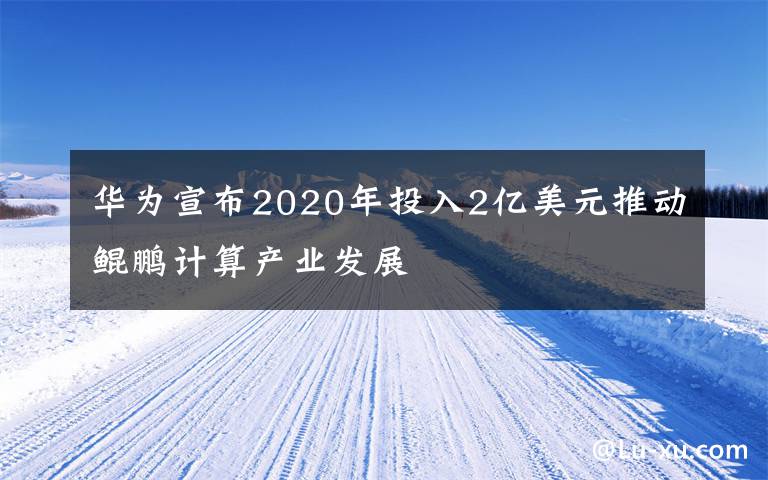 华为宣布2020年投入2亿美元推动鲲鹏计算产业发展