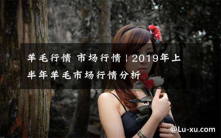 羊毛行情 市场行情 | 2019年上半年羊毛市场行情分析