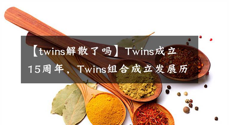 【twins解散了吗】Twins成立15周年，Twins组合成立发展历程公开。
