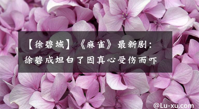 【徐碧城】《麻雀》最新剧：徐碧成坦白了因真心受伤而吓坏的行动处的宝宝们。