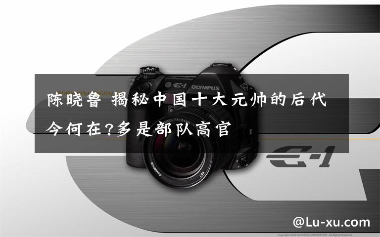 陈晓鲁 揭秘中国十大元帅的后代今何在?多是部队高官