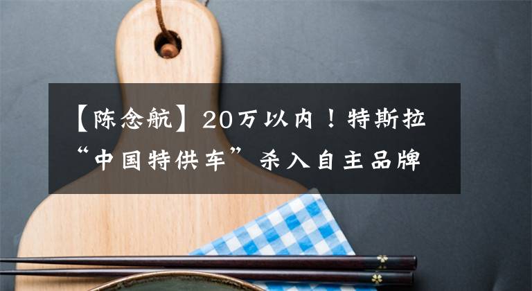 【陈念航】20万以内！特斯拉“中国特供车”杀入自主品牌腹地