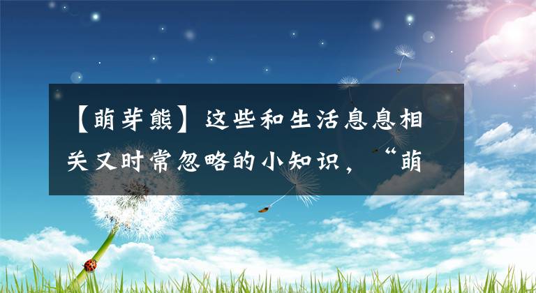 【萌芽熊】这些和生活息息相关又时常忽略的小知识，“萌芽熊”给你科普