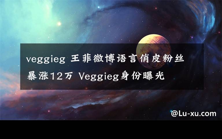 veggieg 王菲微博语言俏皮粉丝暴涨12万 Veggieg身份曝光