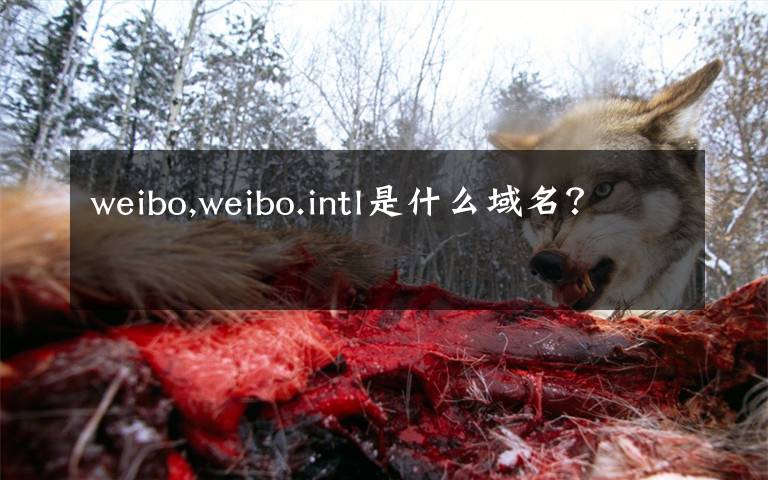 weibo,weibo.intl是什么域名？