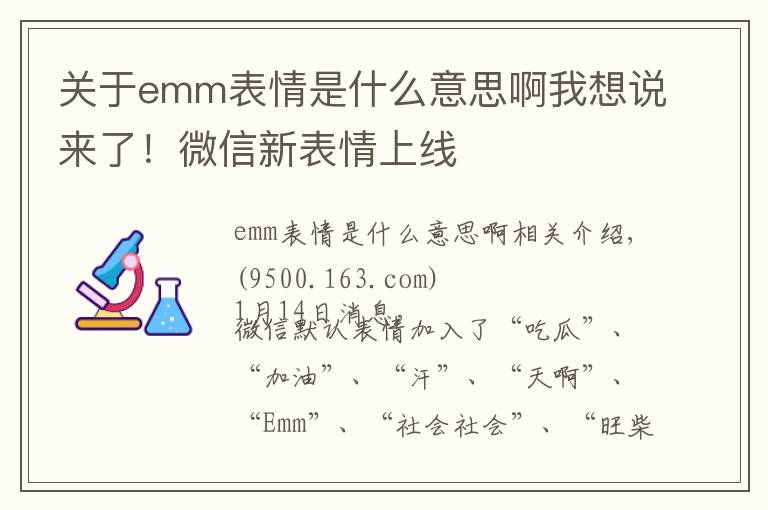 关于emm表情是什么意思啊我想说来了！微信新表情上线