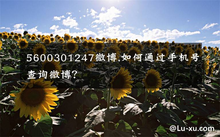 5600301247微博,如何通过手机号查询微博？