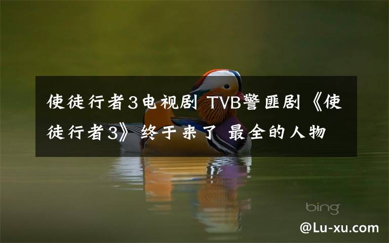 使徒行者3电视剧 TVB警匪剧《使徒行者3》终于来了 最全的人物关系梳理奉上