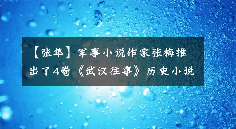 【张隼】军事小说作家张梅推出了4卷《武汉往事》历史小说