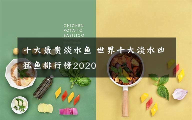 十大最贵淡水鱼 世界十大淡水凶猛鱼排行榜2020