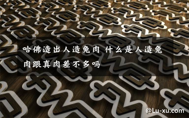 哈佛造出人造兔肉 什么是人造兔肉跟真肉差不多吗