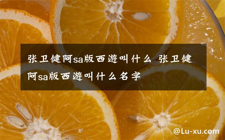 张卫健阿sa版西游叫什么 张卫健阿sa版西游叫什么名字