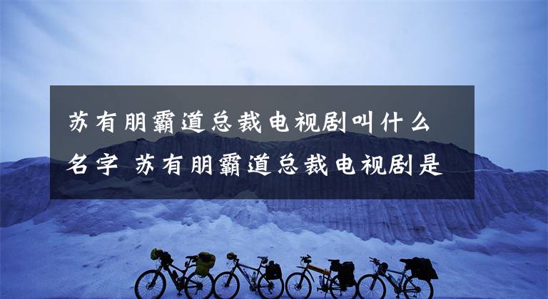 苏有朋霸道总裁电视剧叫什么名字 苏有朋霸道总裁电视剧是什么