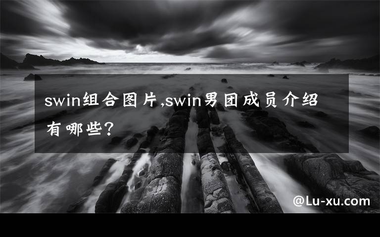 swin组合图片,swin男团成员介绍有哪些？