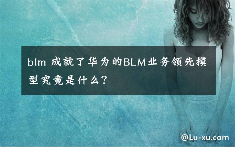 blm 成就了华为的BLM业务领先模型究竟是什么？