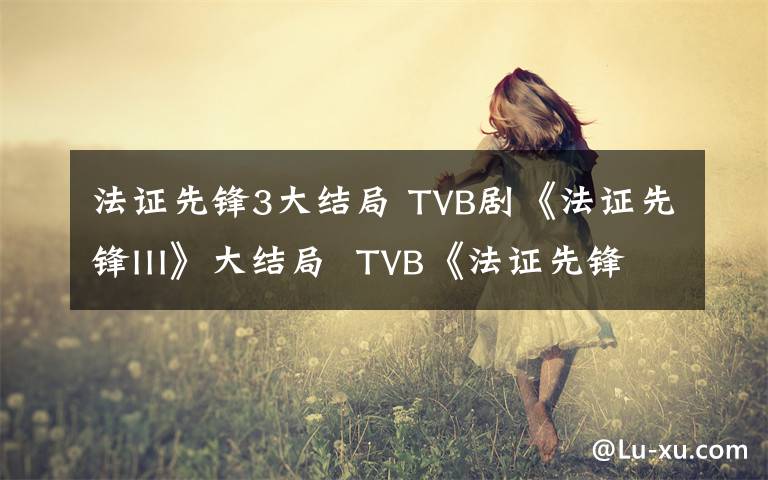 法证先锋3大结局 TVB剧《法证先锋III》大结局  TVB《法证先锋3》分集介绍