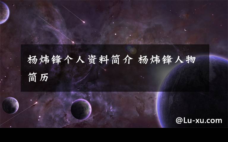 杨炜锋个人资料简介 杨炜锋人物简历文章配图