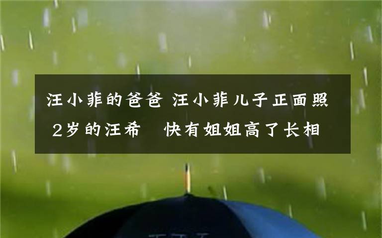 汪小菲的爸爸 汪小菲儿子正面照 2岁的汪希箖快有姐姐高了长相随爸爸