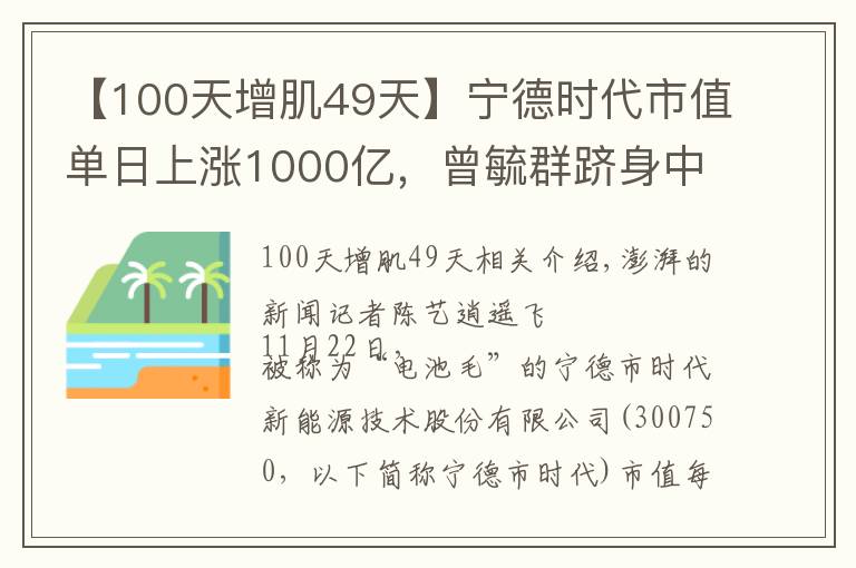 【100天增肌49天】宁德时代市值单日上涨1000亿，曾毓群跻身中国第二大富豪