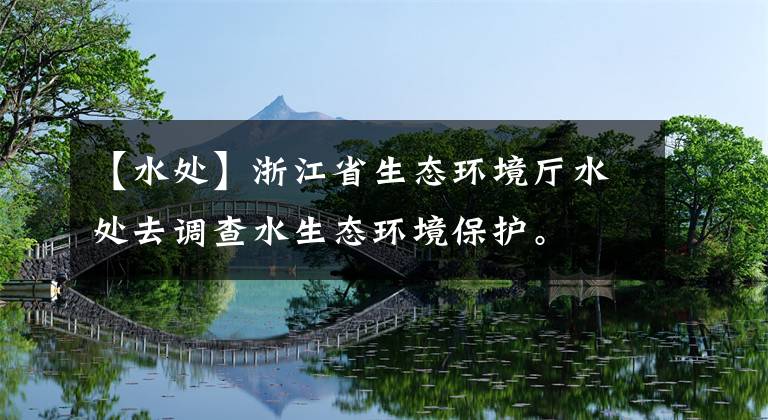 【水处】浙江省生态环境厅水处去调查水生态环境保护。