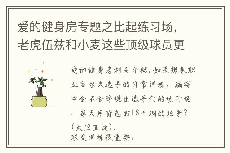 爱的健身房专题之比起练习场，老虎伍兹和小麦这些顶级球员更爱泡健身房？？？