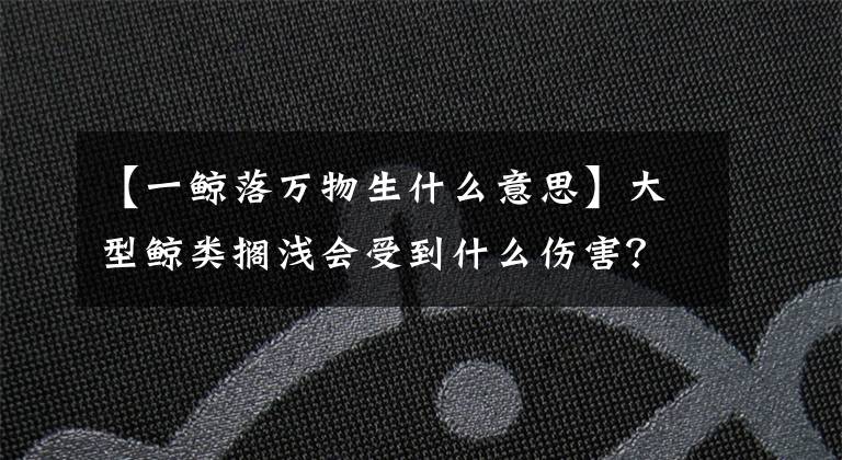 【一鲸落万物生什么意思】大型鲸类搁浅会受到什么伤害？自我康复的可能性高吗？