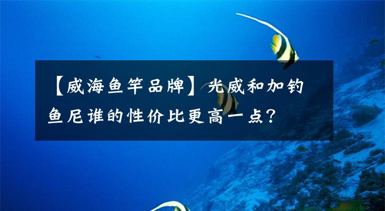 【威海鱼竿品牌】光威和加钓鱼尼谁的性价比更高一点？