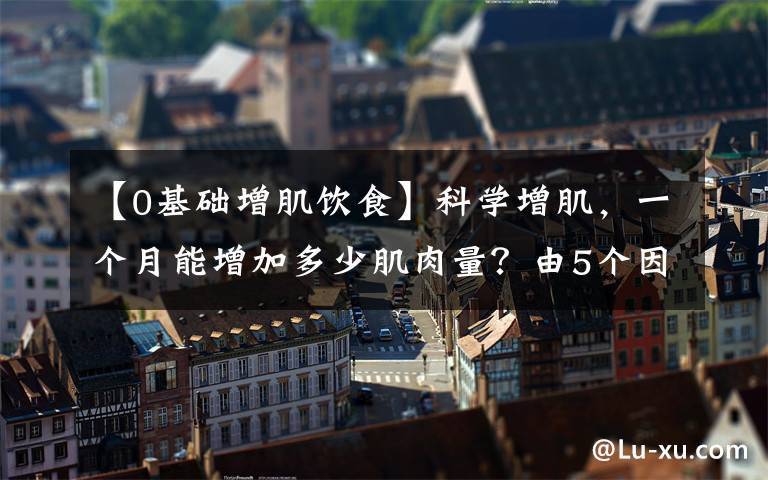 【0基础增肌饮食】科学增肌，一个月能增加多少肌肉量？由5个因素决定
