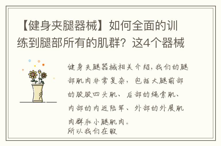 【健身夹腿器械】如何全面的训练到腿部所有的肌群？这4个器械动作就能满足你