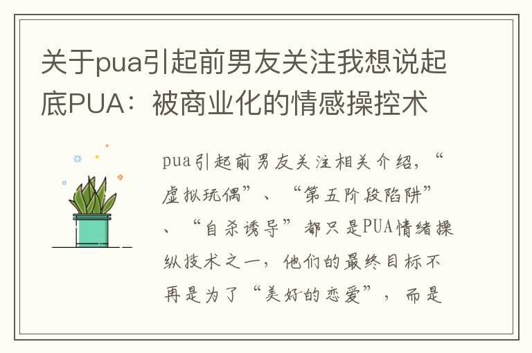 关于pua引起前男友关注我想说起底PUA：被商业化的情感操控术