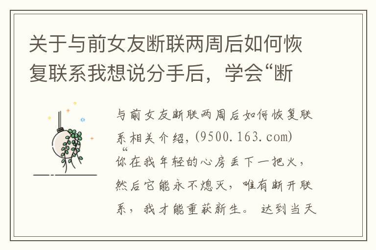 关于与前女友断联两周后如何恢复联系我想说分手后，学会“断联”才会让你重获新生