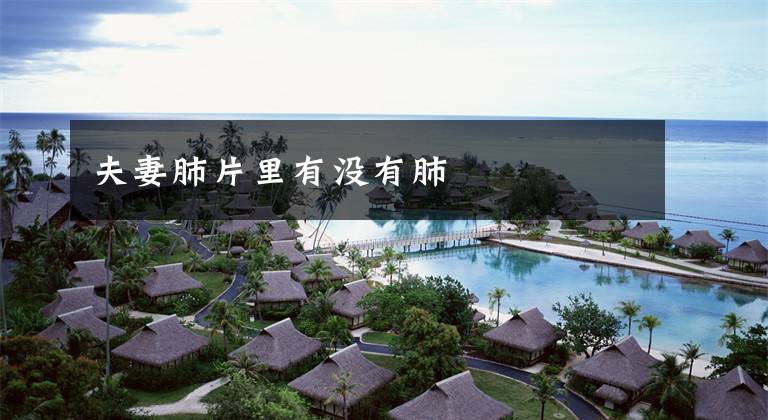 夫妻肺片里有没有肺文章配图