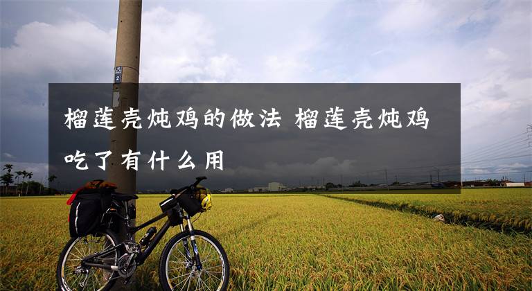 榴莲壳炖鸡的做法 榴莲壳炖鸡吃了有什么用文章配图
