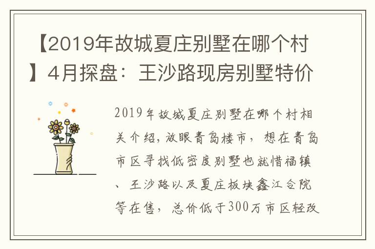 【2019年故城夏庄别墅在哪个村】4月探盘：王沙路现房别墅特价在售 低密度大平层1万出头