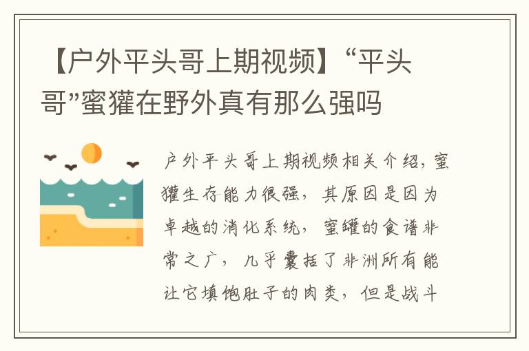 【户外平头哥上期视频】“平头哥"蜜獾在野外真有那么强吗？真相在这里-户外动物知识