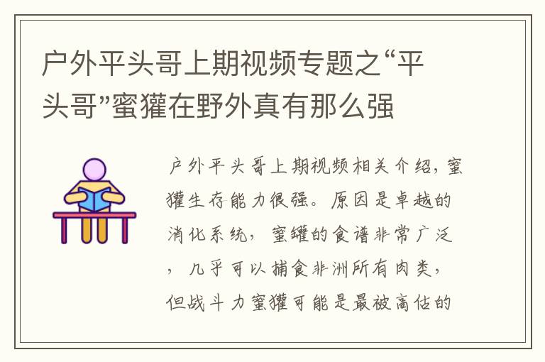 户外平头哥上期视频专题之“平头哥"蜜獾在野外真有那么强吗？真相在这里-户外动物知识