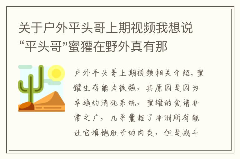 关于户外平头哥上期视频我想说“平头哥"蜜獾在野外真有那么强吗？真相在这里-户外动物知识