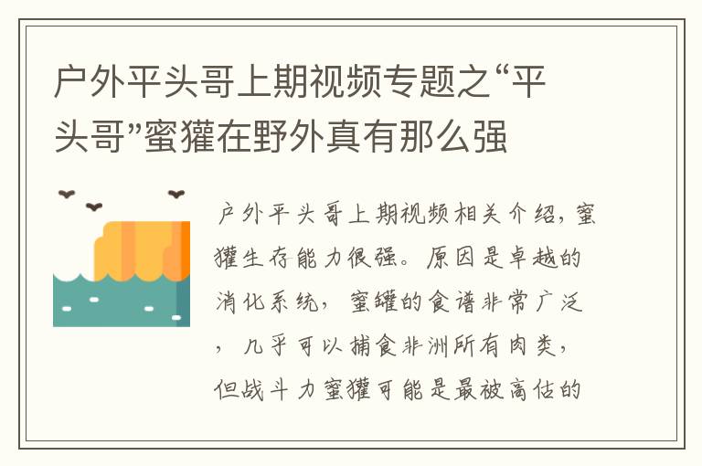 户外平头哥上期视频专题之“平头哥"蜜獾在野外真有那么强吗？真相在这里-户外动物知识