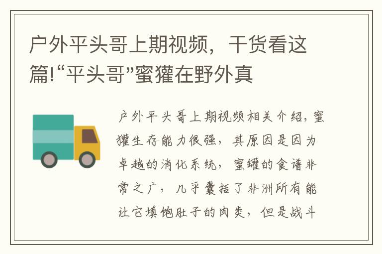 户外平头哥上期视频，干货看这篇!“平头哥"蜜獾在野外真有那么强吗？真相在这里-户外动物知识