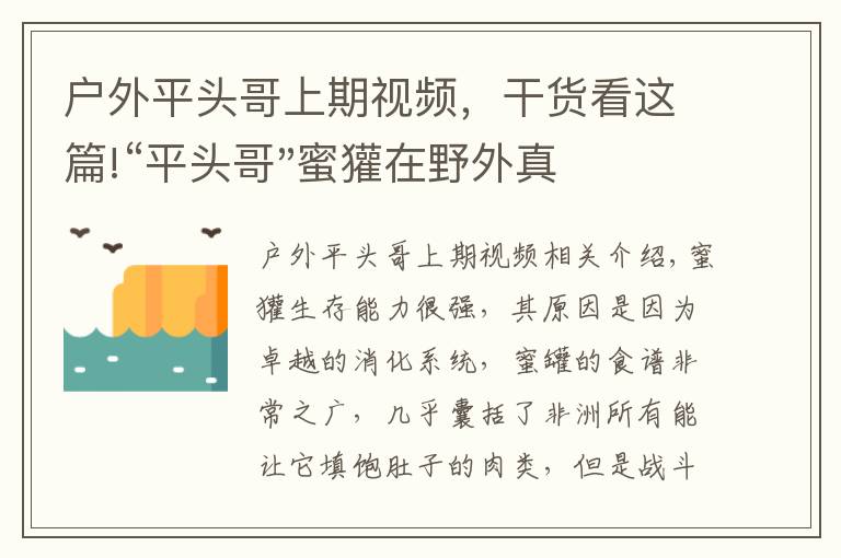 户外平头哥上期视频，干货看这篇!“平头哥"蜜獾在野外真有那么强吗？真相在这里-户外动物知识