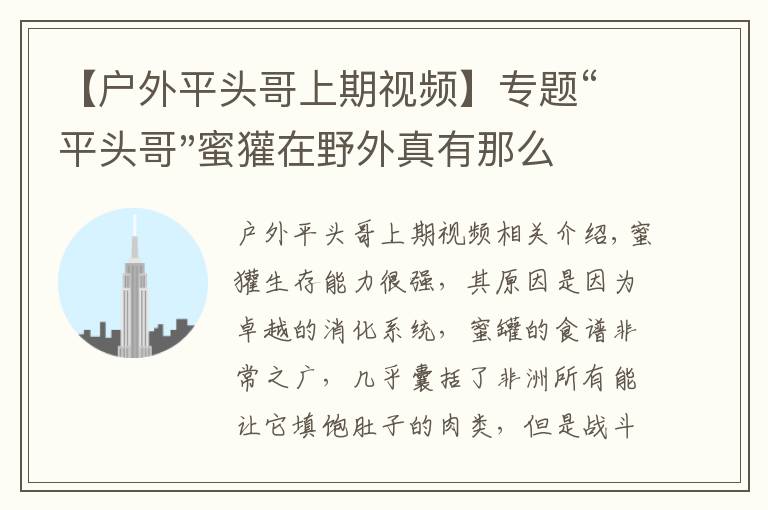 【户外平头哥上期视频】专题“平头哥"蜜獾在野外真有那么强吗？真相在这里-户外动物知识