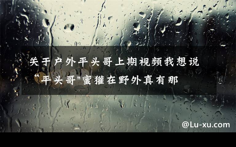 关于户外平头哥上期视频我想说“平头哥"蜜獾在野外真有那么强吗？真相在这里-户外动物知识