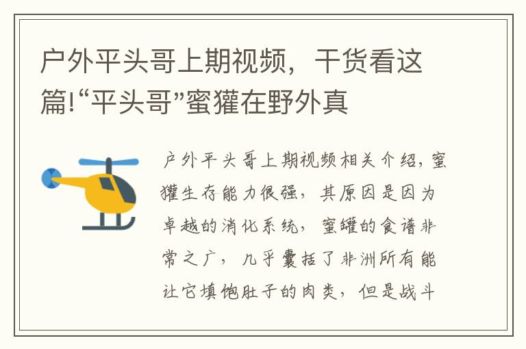 户外平头哥上期视频，干货看这篇!“平头哥"蜜獾在野外真有那么强吗？真相在这里-户外动物知识