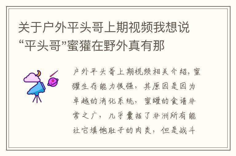 关于户外平头哥上期视频我想说“平头哥"蜜獾在野外真有那么强吗？真相在这里-户外动物知识