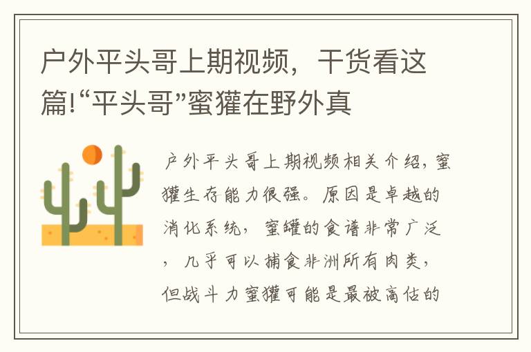 户外平头哥上期视频，干货看这篇!“平头哥"蜜獾在野外真有那么强吗？真相在这里-户外动物知识