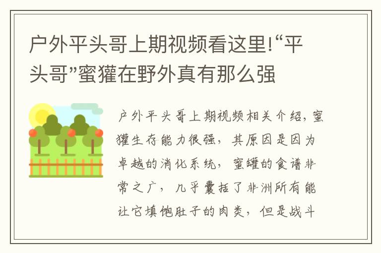 户外平头哥上期视频看这里!“平头哥"蜜獾在野外真有那么强吗？真相在这里-户外动物知识