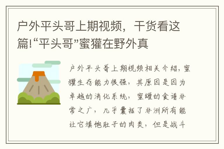 户外平头哥上期视频，干货看这篇!“平头哥"蜜獾在野外真有那么强吗？真相在这里-户外动物知识