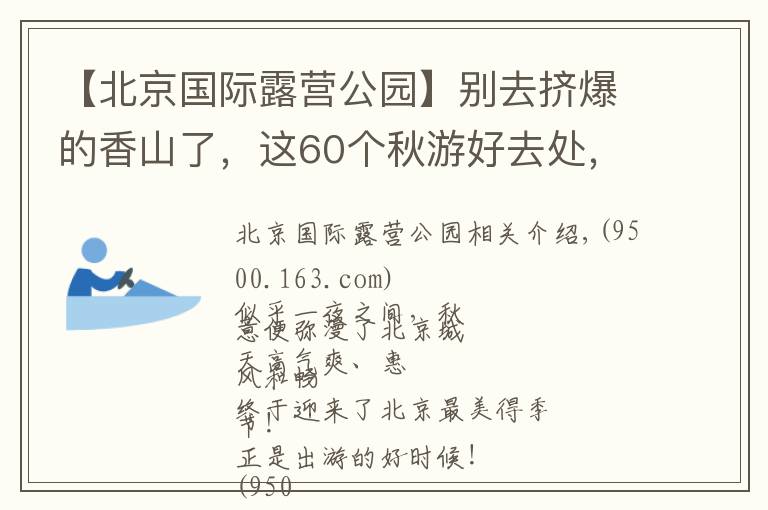 【北京国际露营公园】别去挤爆的香山了，这60个秋游好去处，北京人非去不可！