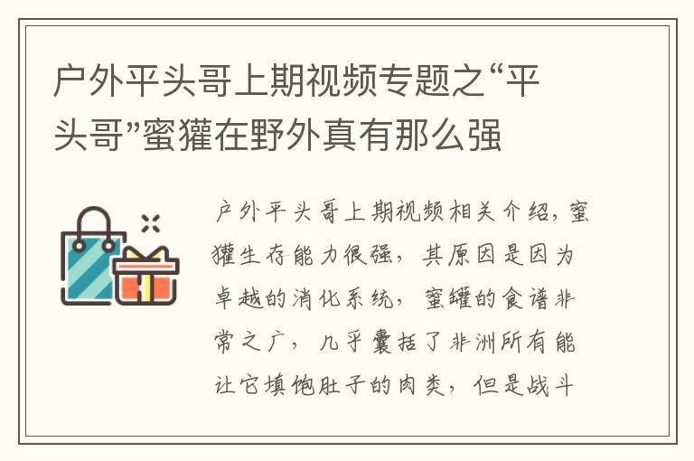 户外平头哥上期视频专题之“平头哥"蜜獾在野外真有那么强吗？真相在这里-户外动物知识