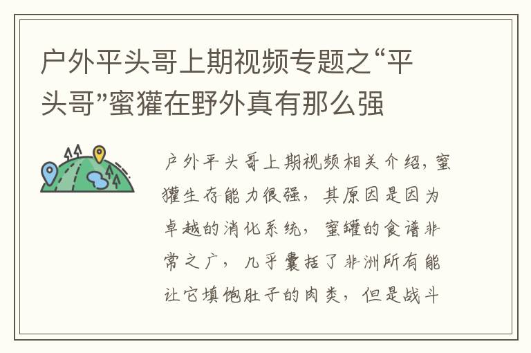 户外平头哥上期视频专题之“平头哥"蜜獾在野外真有那么强吗？真相在这里-户外动物知识